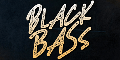 Black Bass Fuente Póster 1