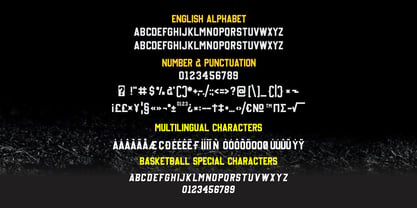 Basketball Font Poster 7