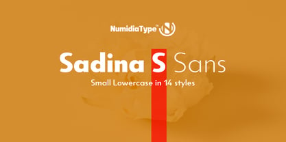 Sadina S Font Poster 1