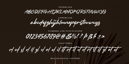 Browellay Synthya Font Poster 10