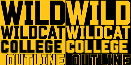 Wildcat Font Poster 2
