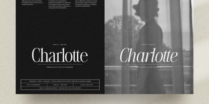 The Silver Editorial Font Poster 12