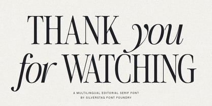 The Silver Editorial Font Poster 15