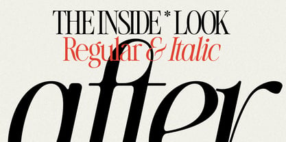 The Silver Editorial Font Poster 8