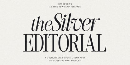 The Silver Editorial Font Poster 1