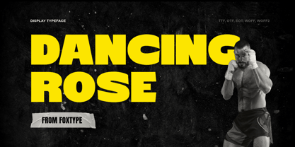 Dancing Rose Font Poster 1