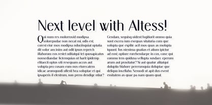 Altess Font Poster 3