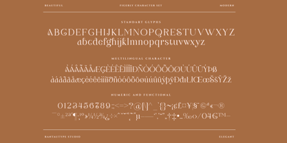 Figerly Font Poster 14