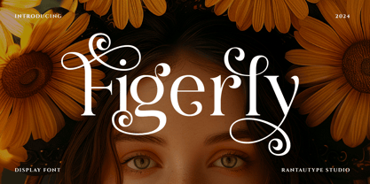 Figerly Font Poster 1