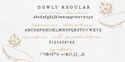 Dowly Font Poster 5