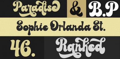 Sunky Retro Font Poster 5