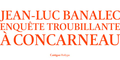Cattigan Font Poster 12