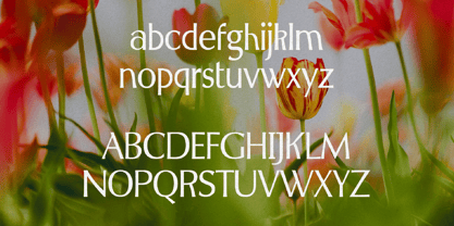 Spring Melody Font Poster 7