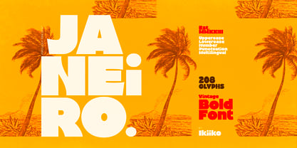 Janeiro Font Poster 1