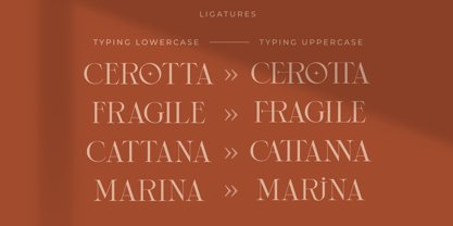 Cerotta Font Poster 8