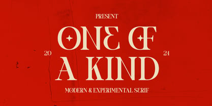 One of a kind Modern Experimental Serif Fuente Póster 1