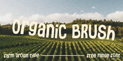 Organic Brush Font Poster 1