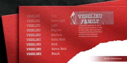 Vegelinu Font Poster 8