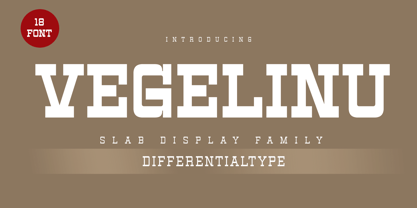 Vegelinu Font Poster 1