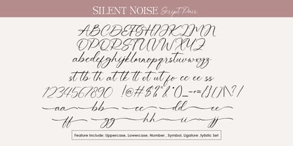 Silent Noise Font Duo Font Poster 10