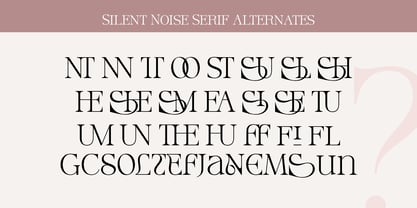Silent Noise Font Duo Font Poster 12