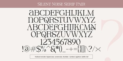 Silent Noise Font Duo Font Poster 11