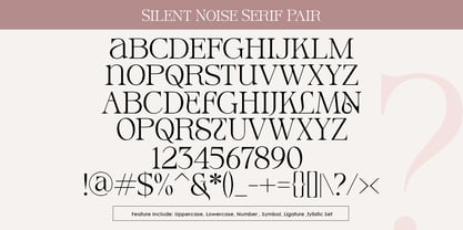 Silent Noise Font Duo Fuente Póster 11