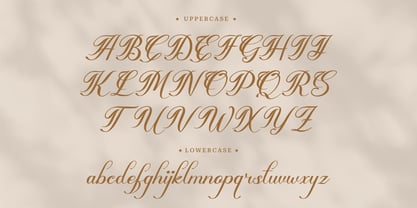 Bebegik Panthay Font Poster 10