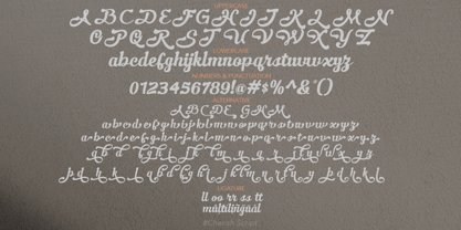 Cheris Font Poster 10