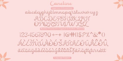 Caneline Font Poster 7