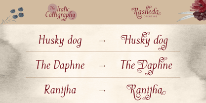 Rasheda Font Poster 5