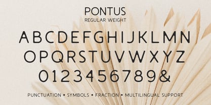 Pontus Font Poster 12