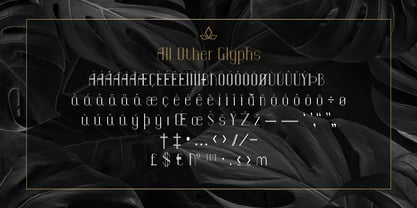 Luxart Font Poster 5