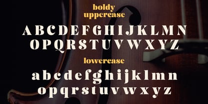Boldy Font Poster 14