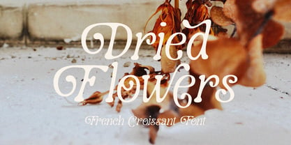 French Croissant Font Poster 10