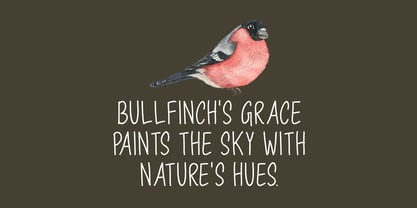 Majestic Bullfinch Font Poster 3