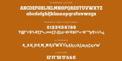 Burgeon Font Poster 14