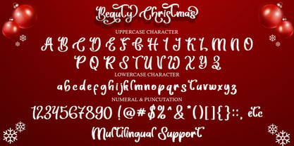 Beauty Christmas Font Poster 6