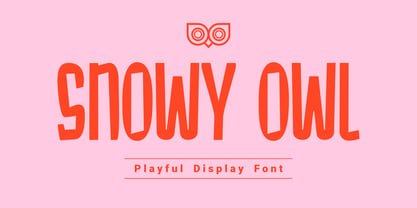 Snowy Owl Font Poster 1