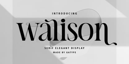 Walison Font Poster 1