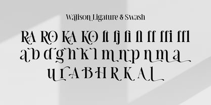 Walison Font Poster 7