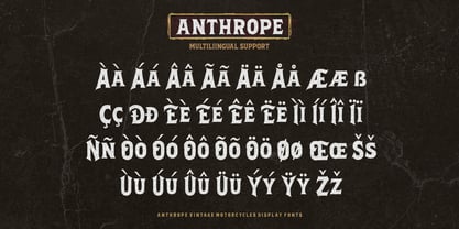 Anthrope Font Poster 9