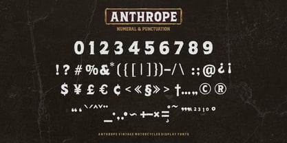 Anthrope Font Poster 8