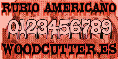 Rubio Americano Font Poster 5