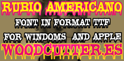 Rubio Americano Font Poster 4