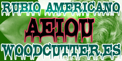 Rubio Americano Font Poster 6