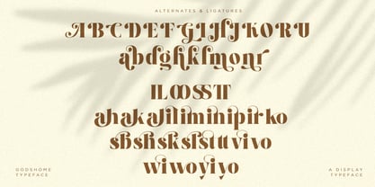 Godshome Font Poster 9