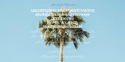 Aima Font Duo Font Poster 7