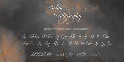 Aroline Calligraphy Font Poster 6