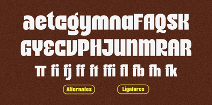 Highfat Font Poster 14